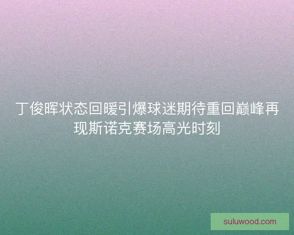 丁俊晖状态回暖引爆球迷期待重回巅峰再现斯诺克赛场高光时刻